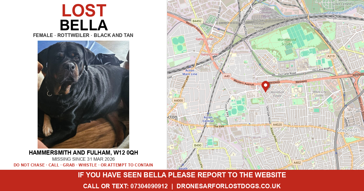 Missing Rottweiler Dog Lost: Bella β Rottweiler | Drone SAR for Lost Dogs UK