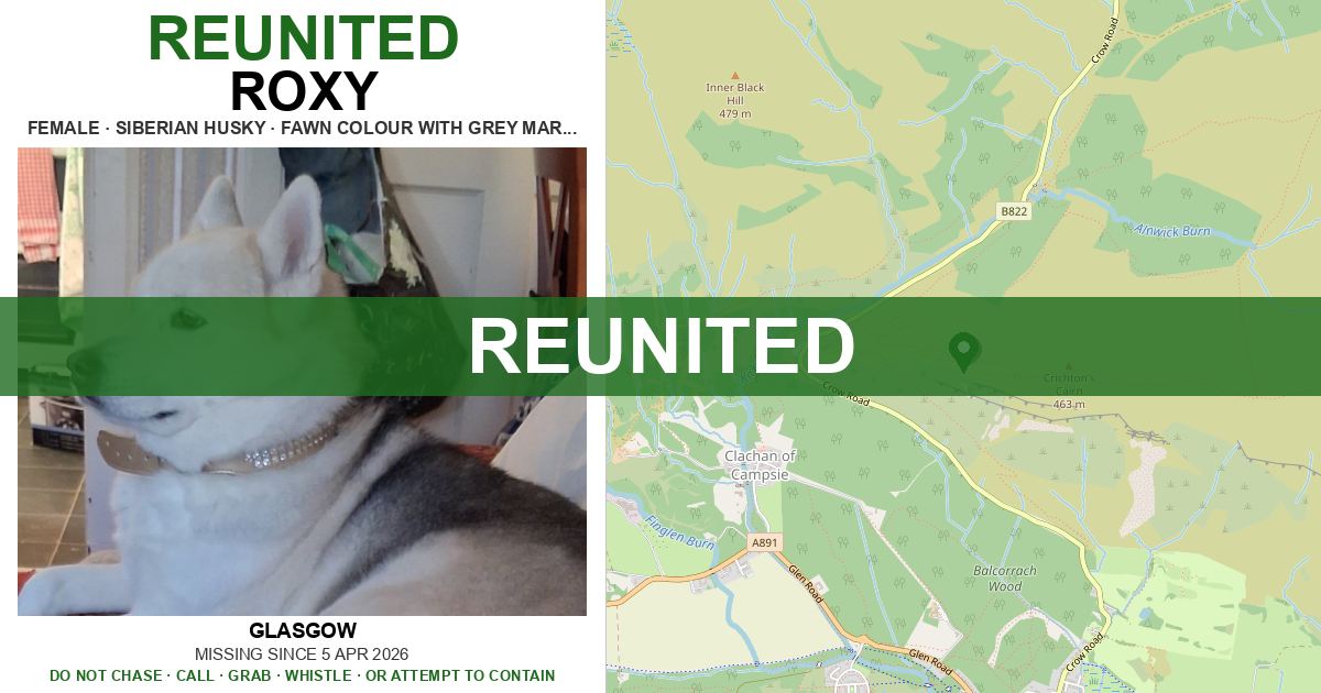 Reunited: Roxy — Siberian husky | Drone SAR for Lost Dogs UK