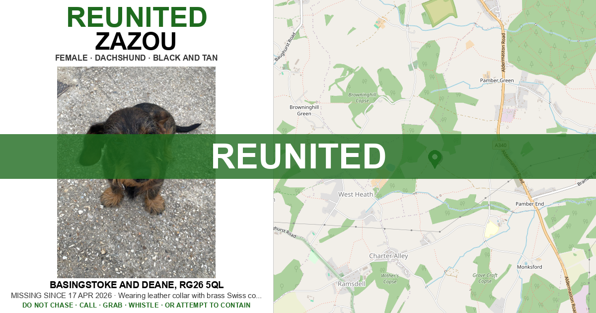 Reunited: Zazou — Dachshund | Drone SAR for Lost Dogs UK