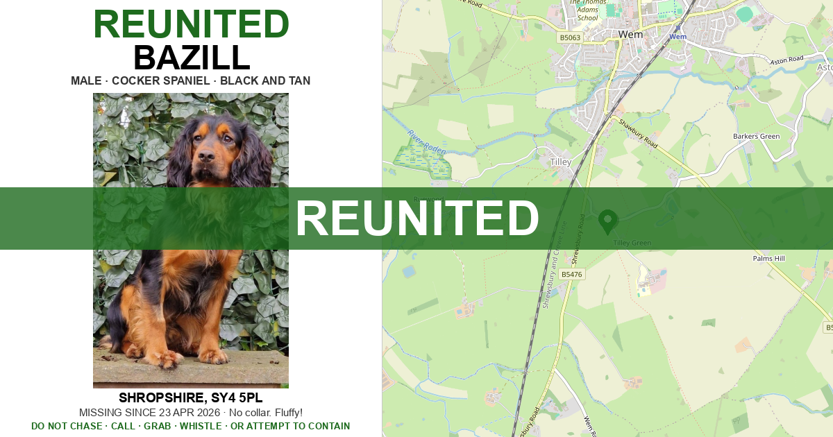 Reunited: Bazill — Cocker Spaniel | Drone SAR for Lost Dogs UK