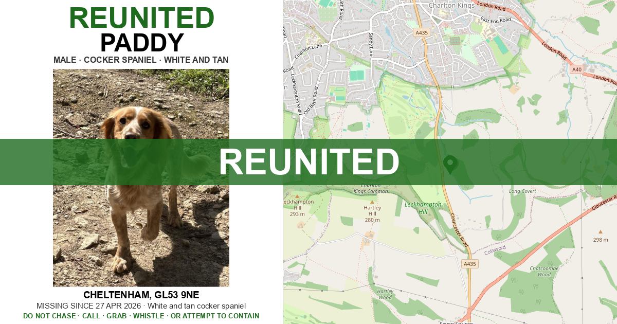 Reunited: Paddy — Cocker Spaniel | Drone SAR for Lost Dogs UK
