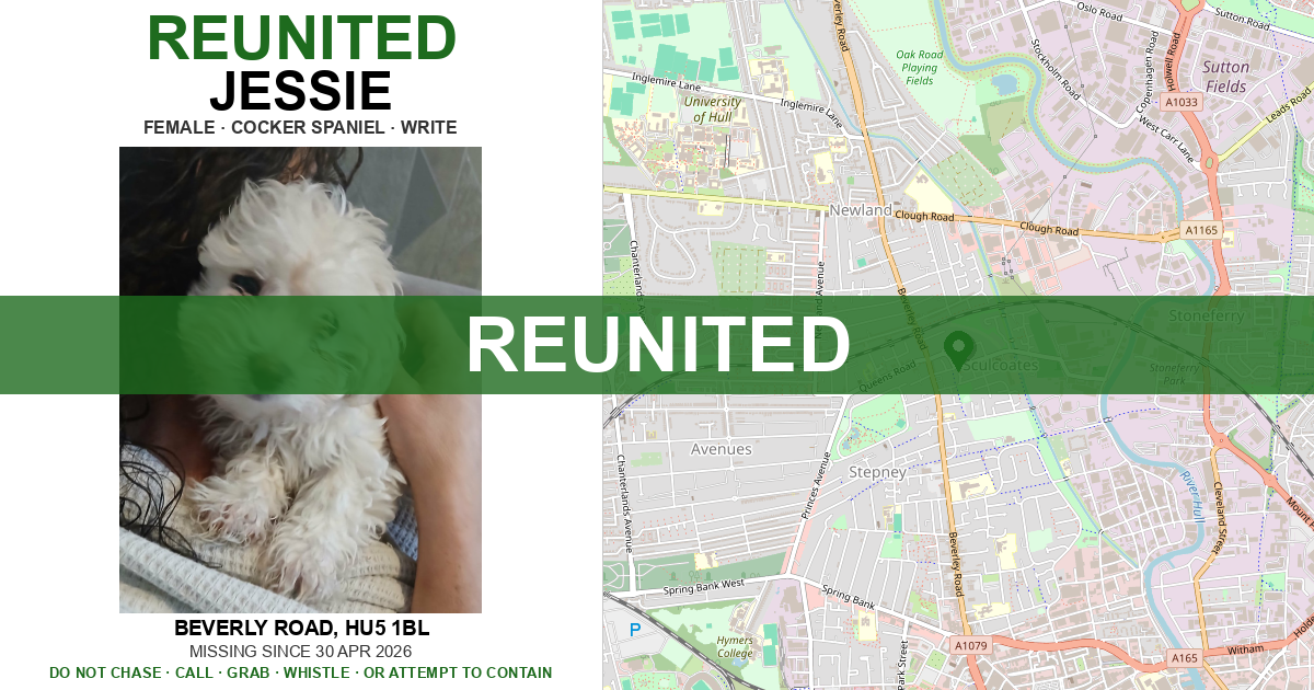 Reunited: Jessie — Cocker spaniel | Drone SAR for Lost Dogs UK
