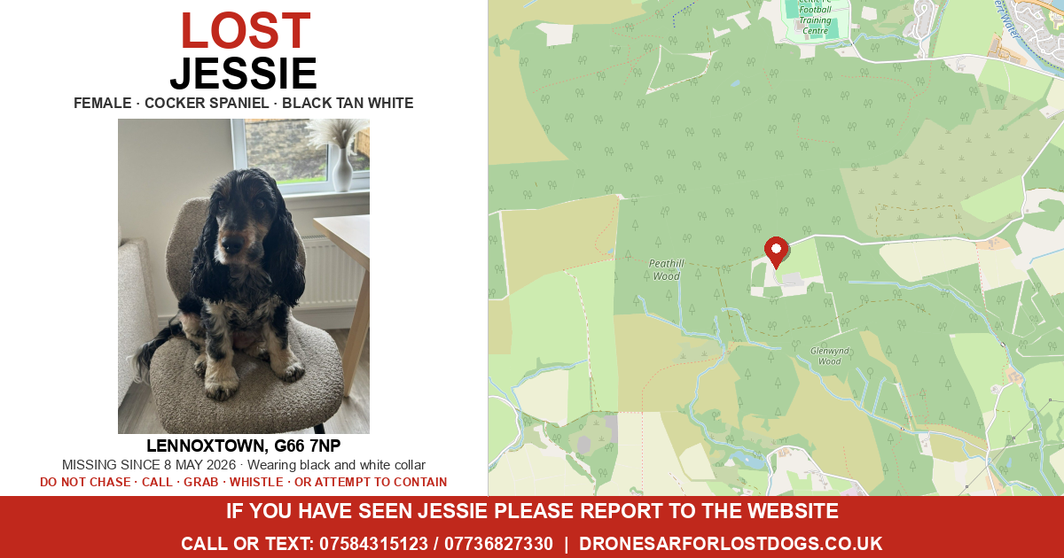Lost: Jessie — Cocker Spaniel | Drone SAR for Lost Dogs UK