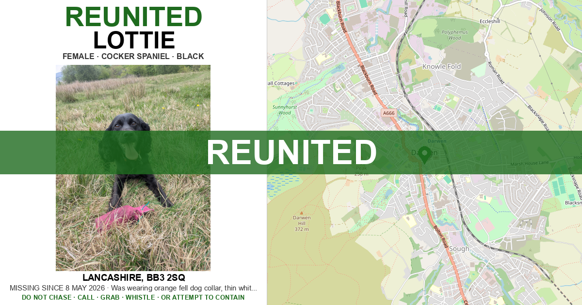 Reunited: Lottie — Cocker Spaniel | Drone SAR for Lost Dogs UK