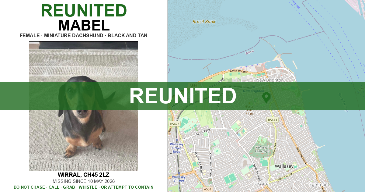 Reunited: Mabel — Miniature Dachshund | Drone SAR for Lost Dogs UK