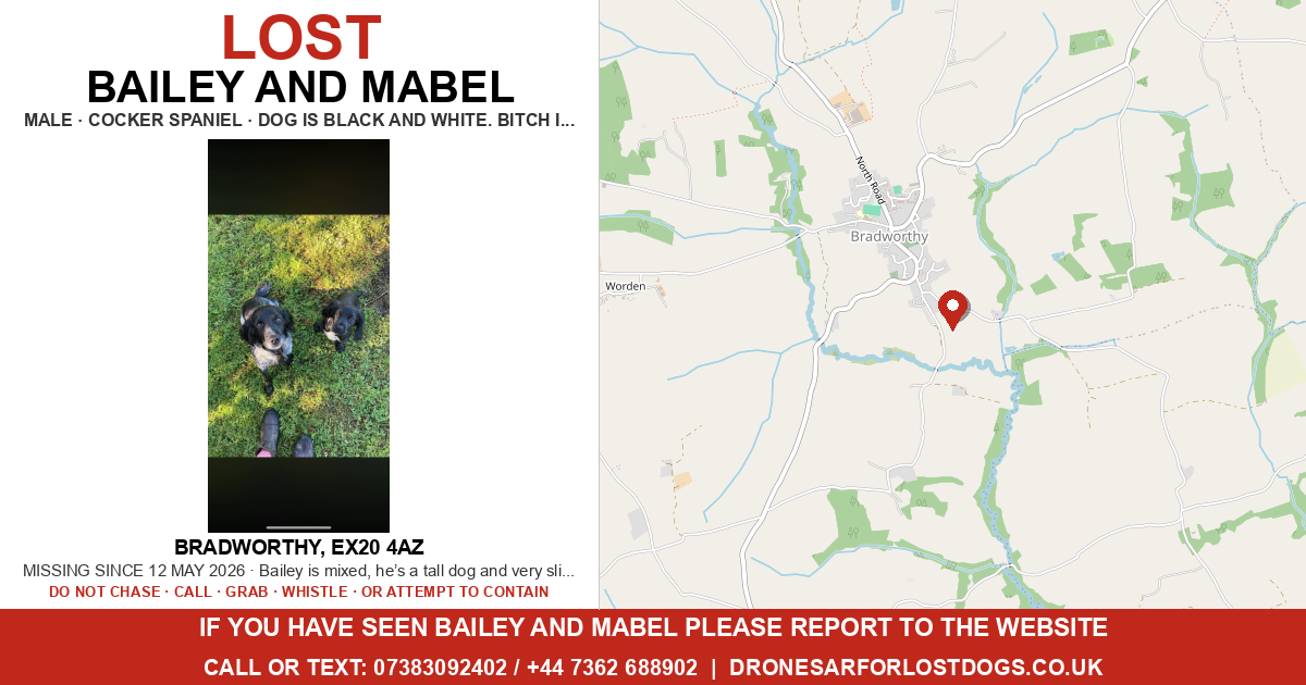 Lost: Bailey and Mabel — Cocker Spaniel | Drone SAR for Lost Dogs UK