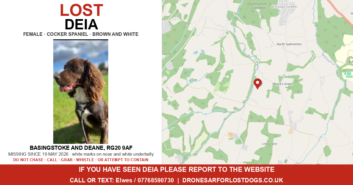 Lost: Deia — Cocker Spaniel | Drone SAR for Lost Dogs UK