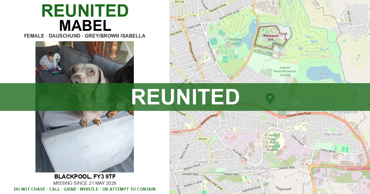 Mabel Reunited With Owner After Motorway Escape Using Drone Technology