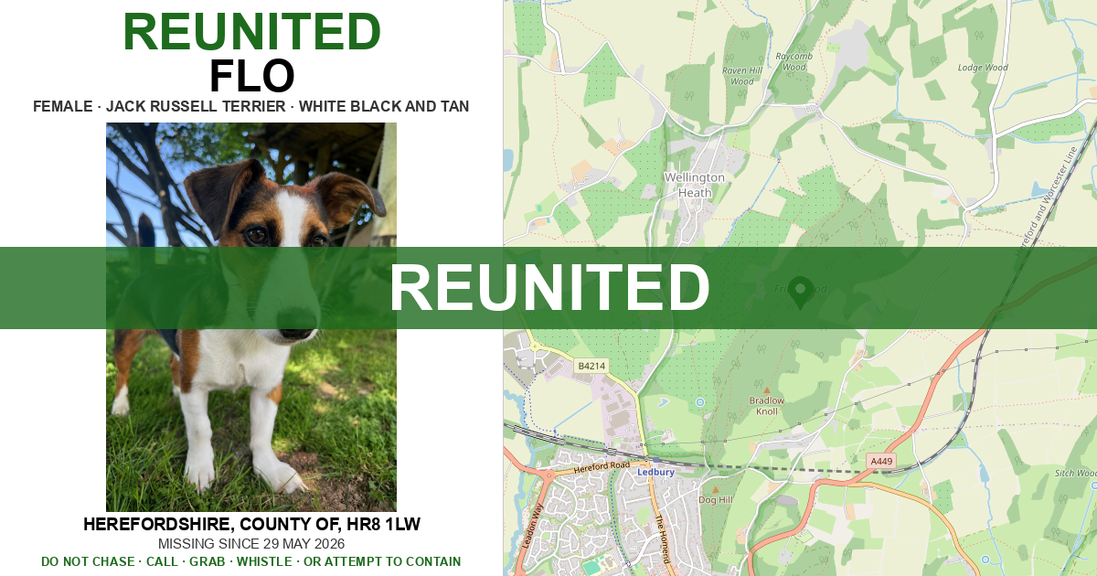 Reunited: Flo — Jack Russell Terrier | Drone SAR for Lost Dogs UK