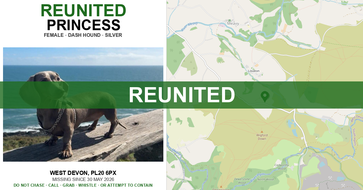 Reunited: Princess — Dash hound | Drone SAR for Lost Dogs UK