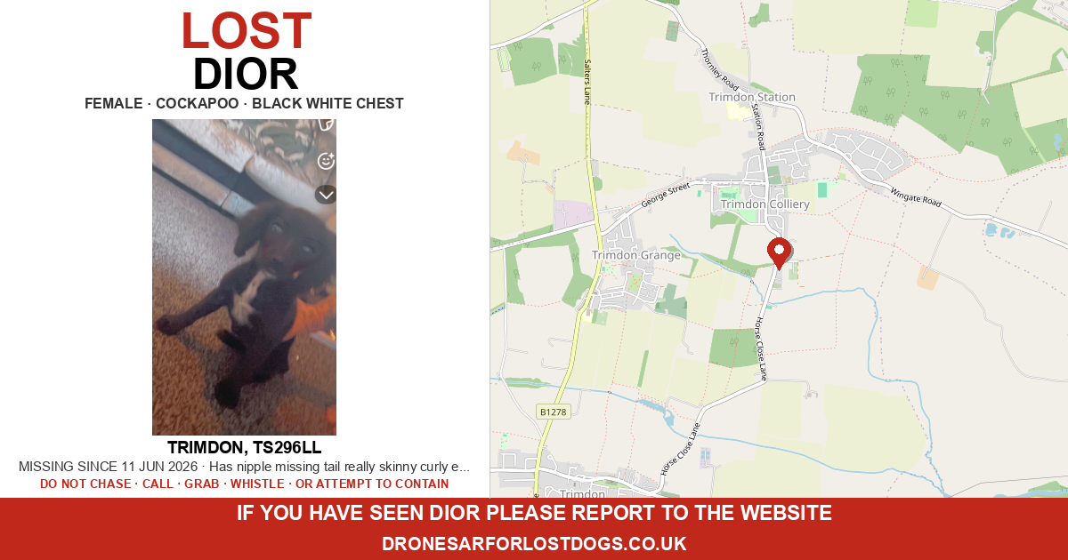 Lost: Dior — Cockapoo | Drone SAR for Lost Dogs UK