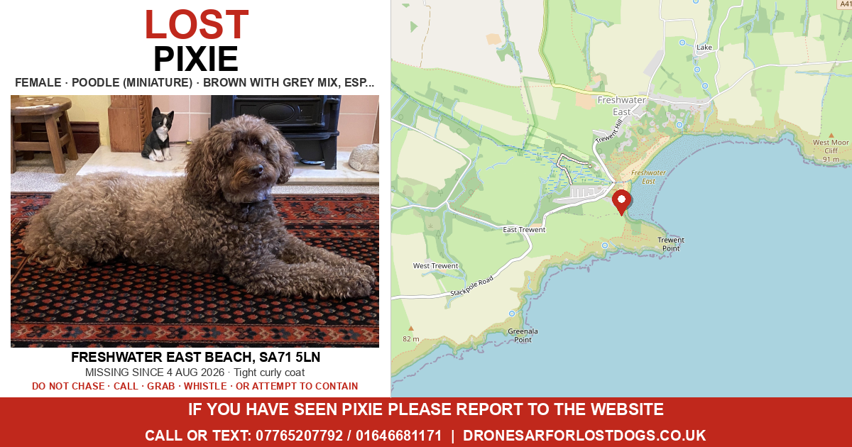 Lost: Pixie — Poodle (Miniature) | Drone SAR for Lost Dogs UK