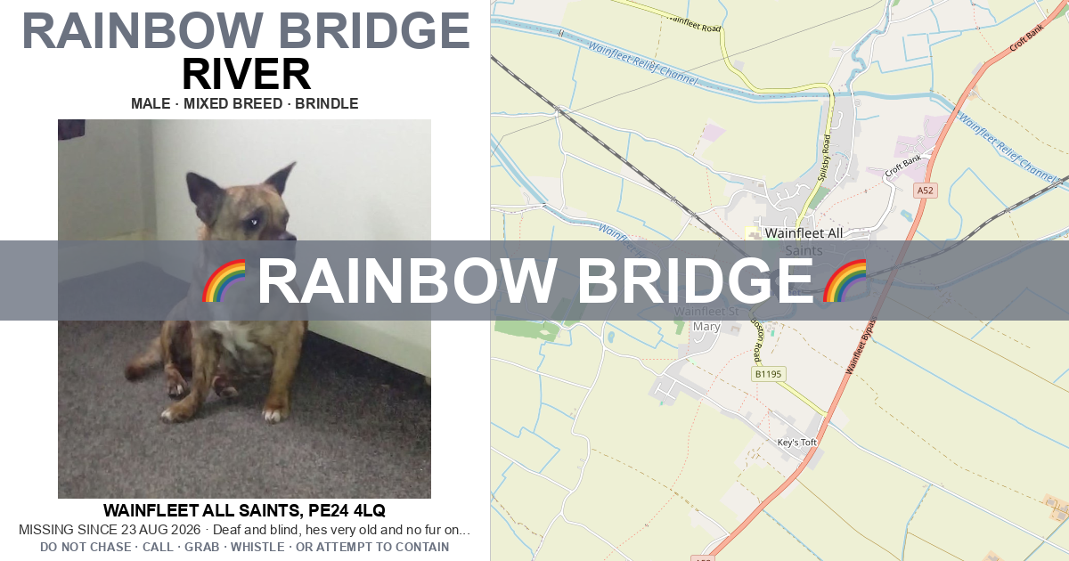 Map Of Dogs Lost: River — Mixed Breed | Drone SAR for Lost Dogs UK