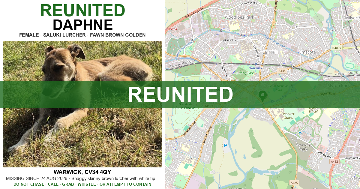 Map Of Dogs Lost: Daphne — Saluki Lurcher | Drone SAR for Lost Dogs UK