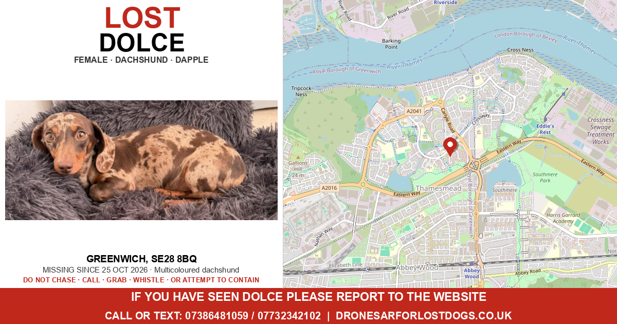 Lost: Dolce — Dachshund | Drone SAR for Lost Dogs UK