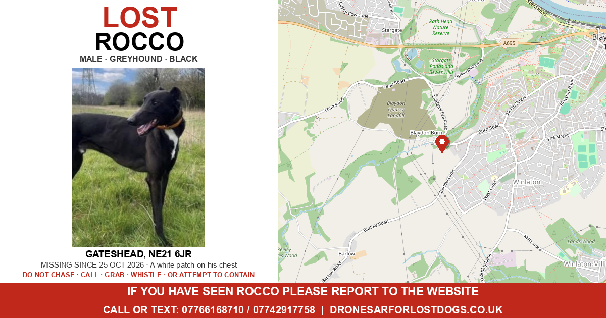 Lost: Rocco — Greyhound | Drone SAR for Lost Dogs UK