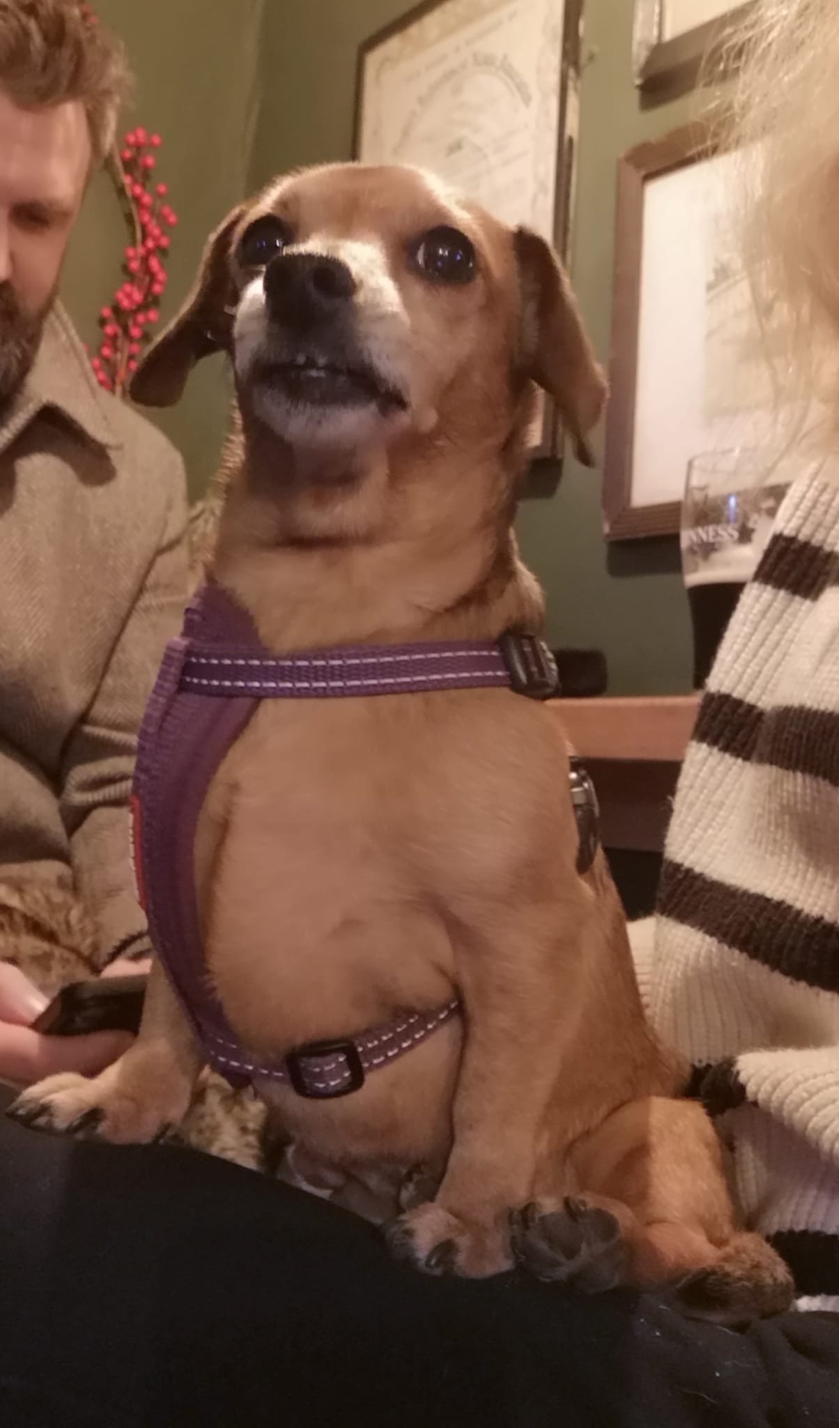 Mimi