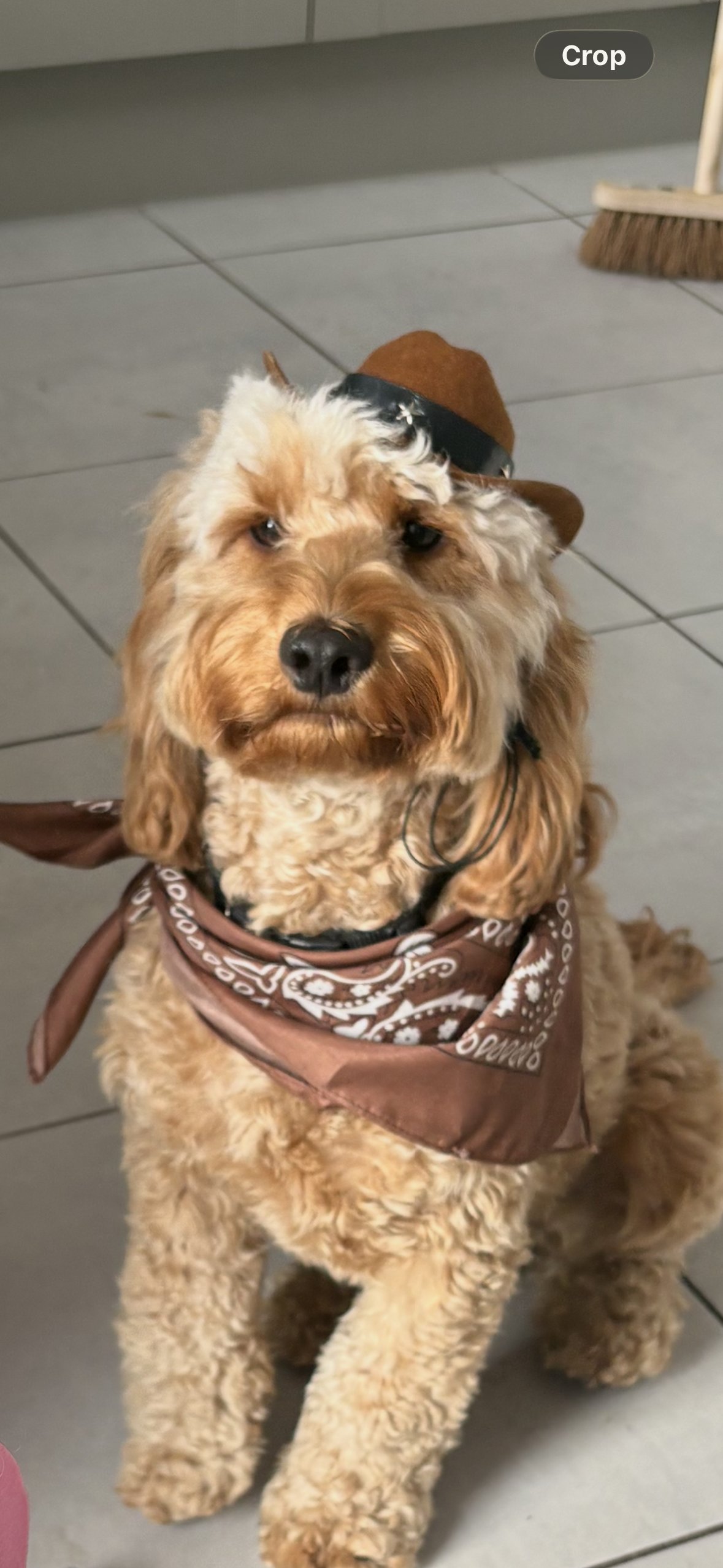 Hugo