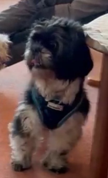 Oscar