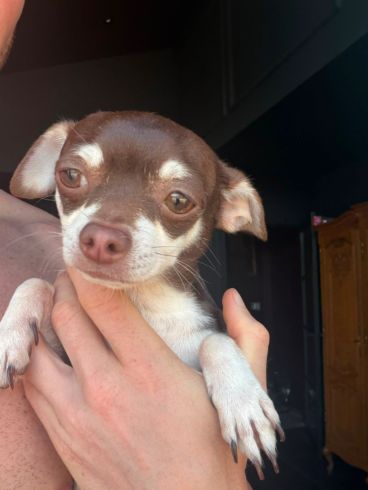 Dobbie