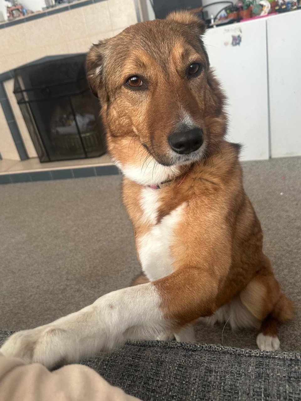 Lulu