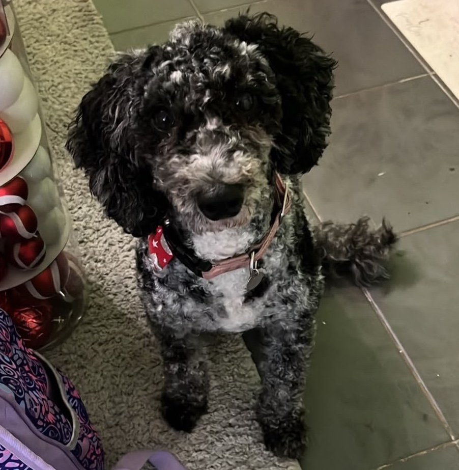 Suki