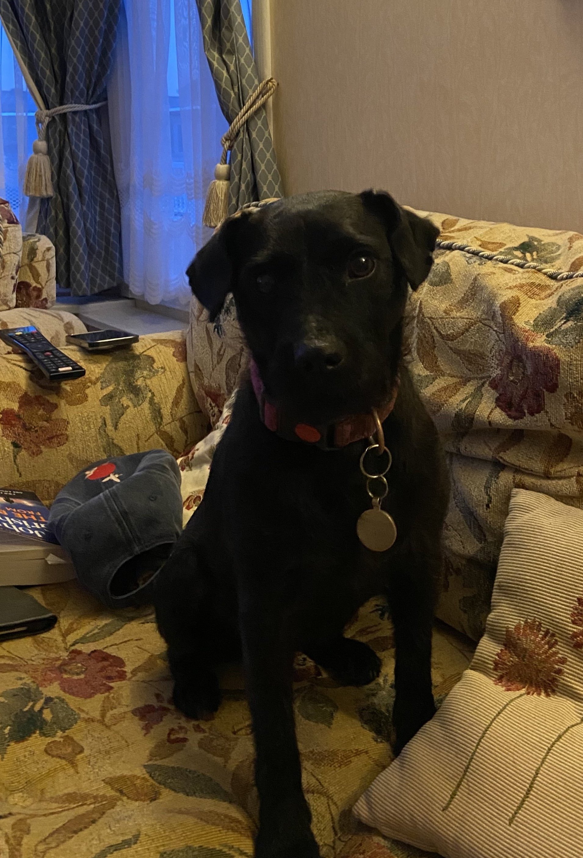 Pippa