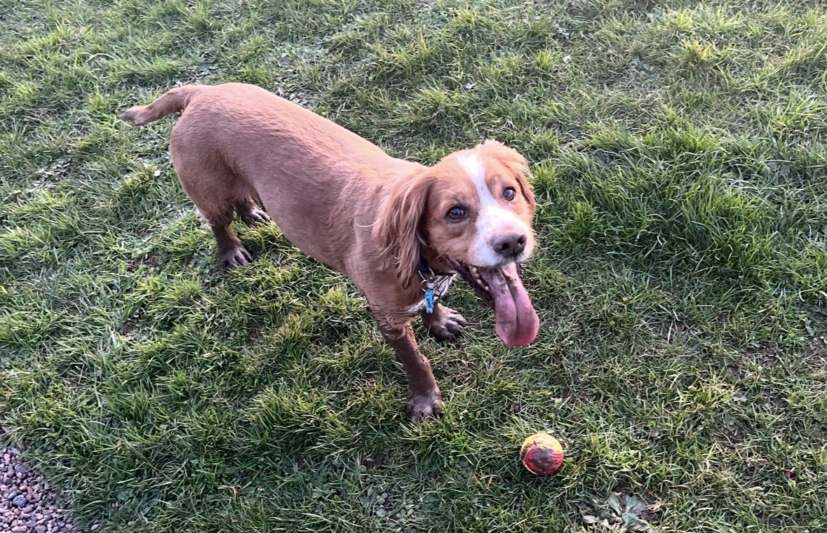 Chester