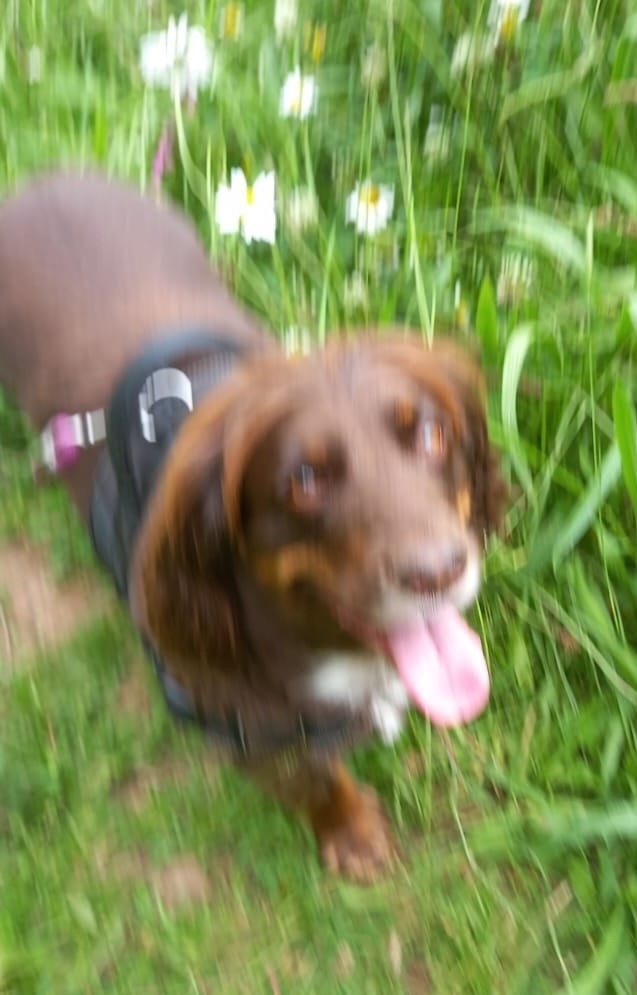 Tilly