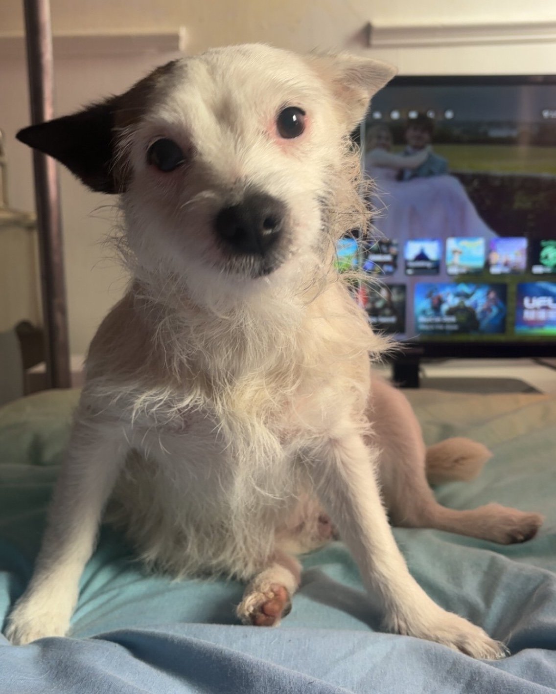Tinkerbell
