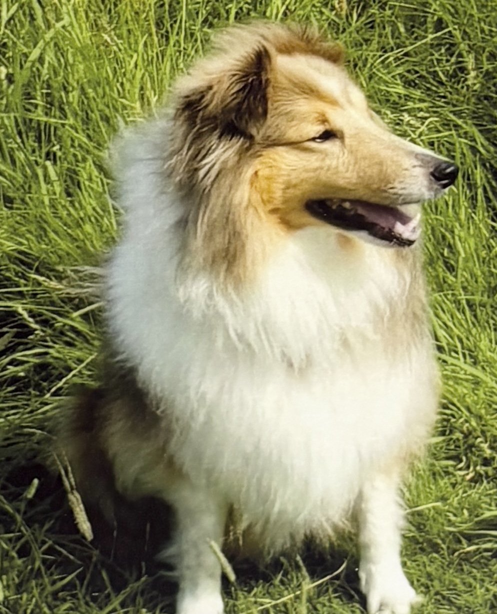 Sammy