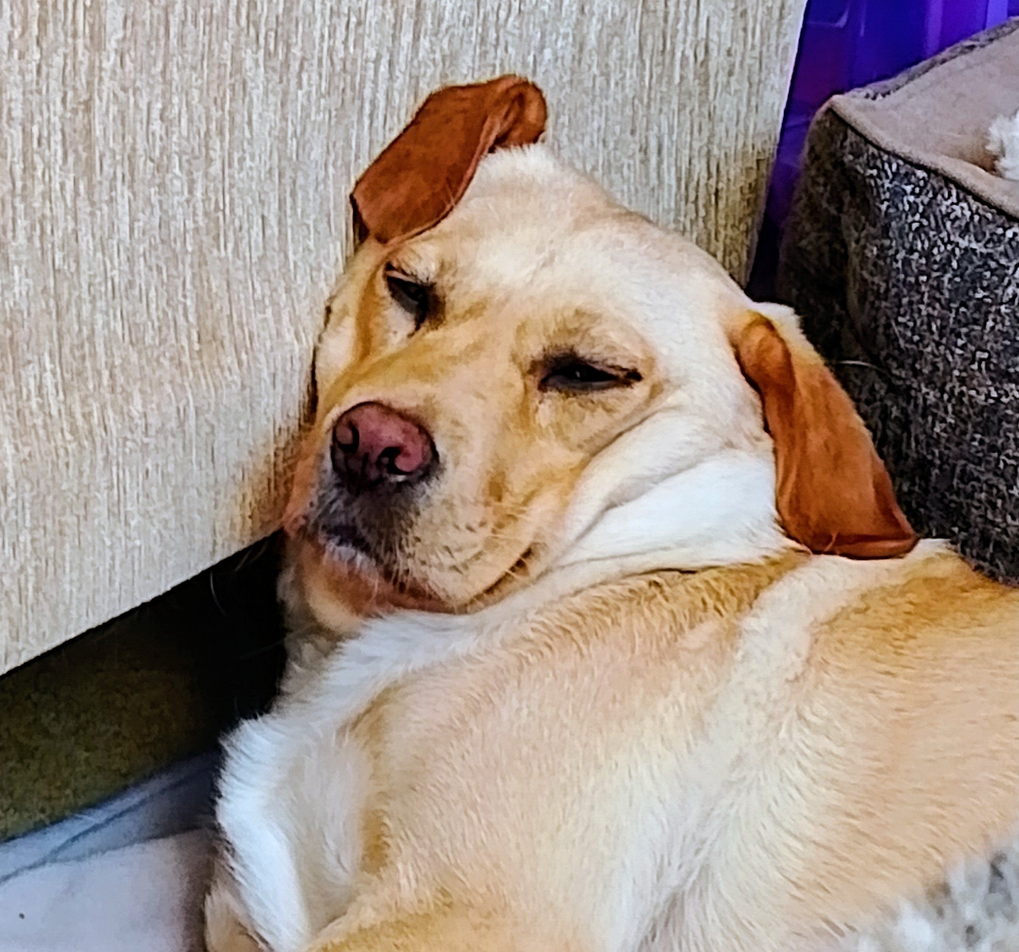 Lena