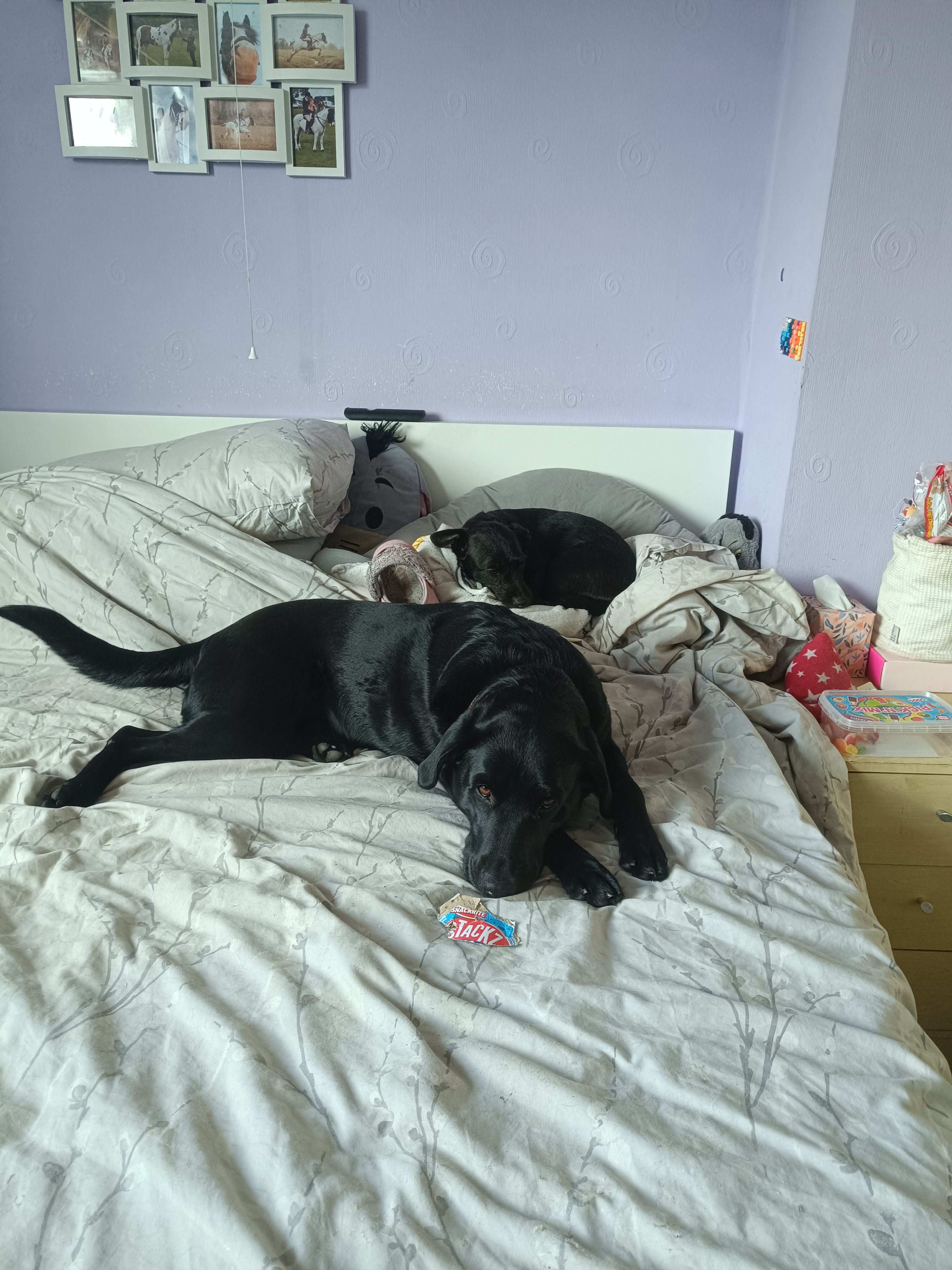 Luna and Mei
