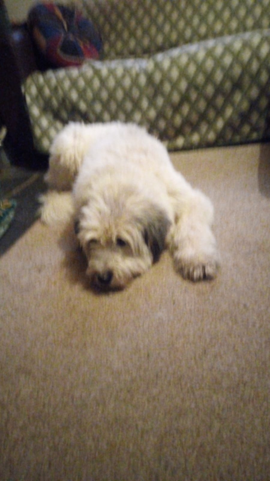 Milly