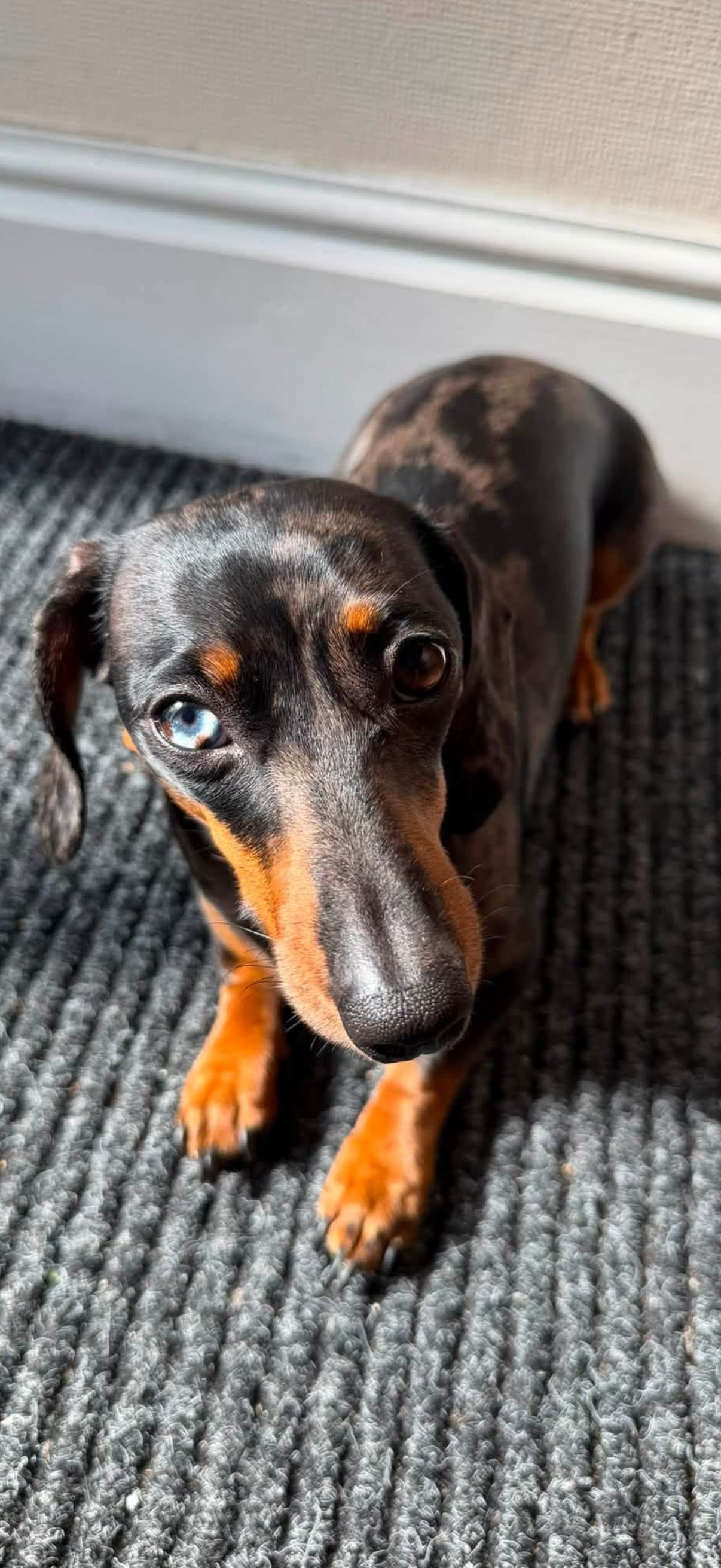 Beau