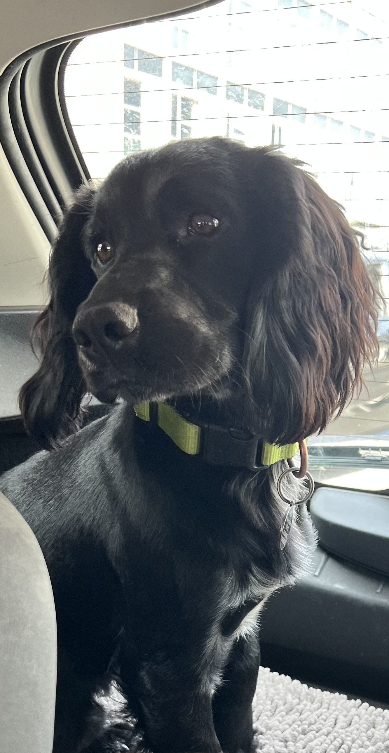 Ernie