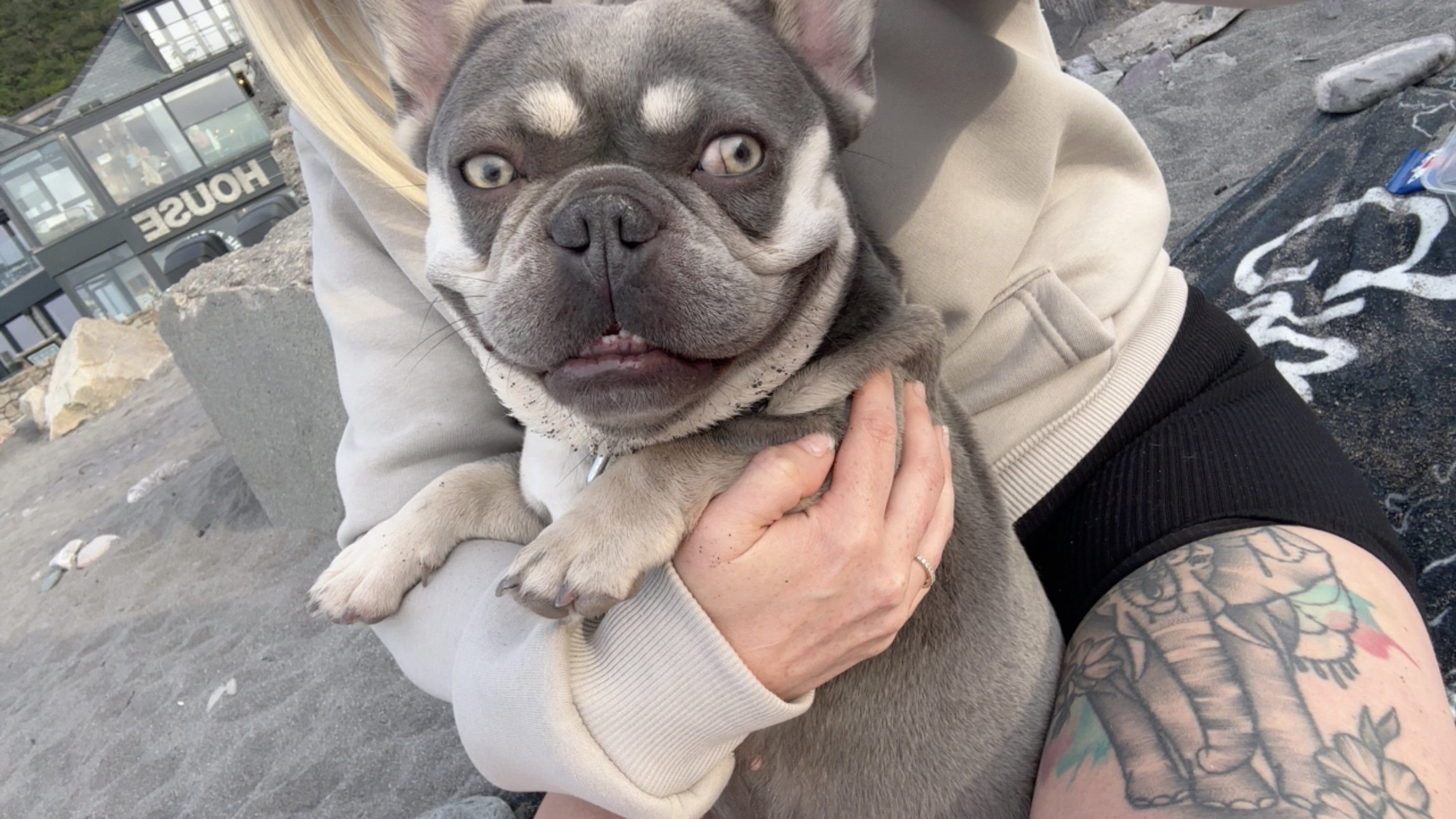 Mabel