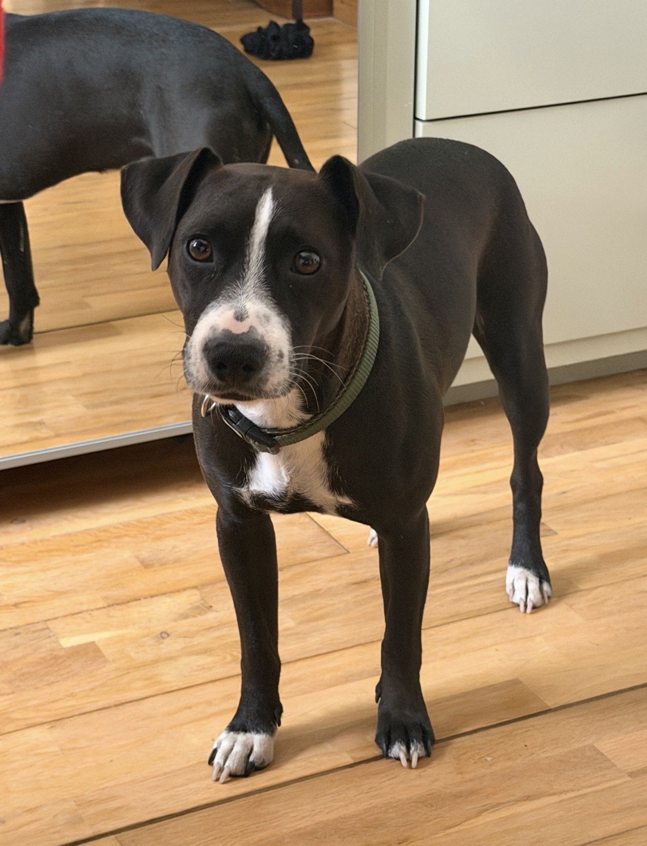 Coco