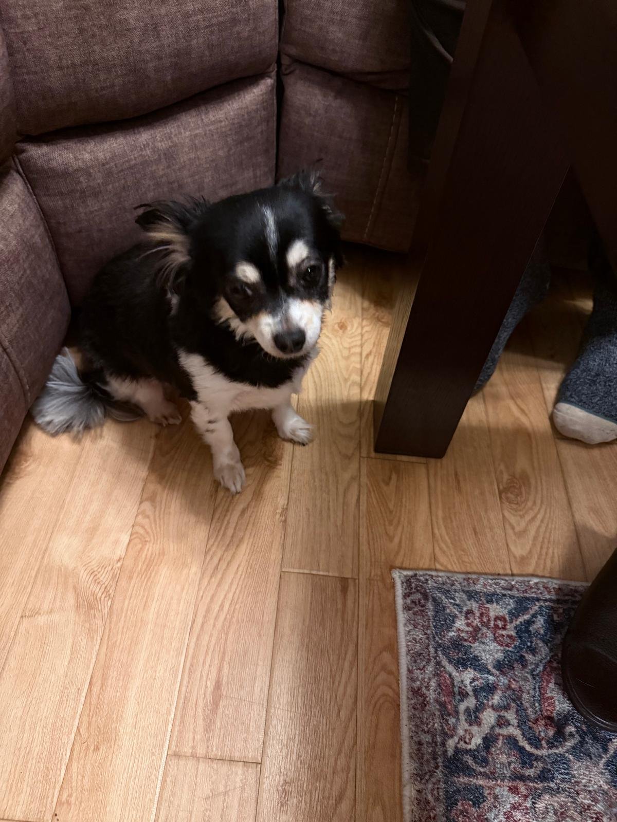 Maya
