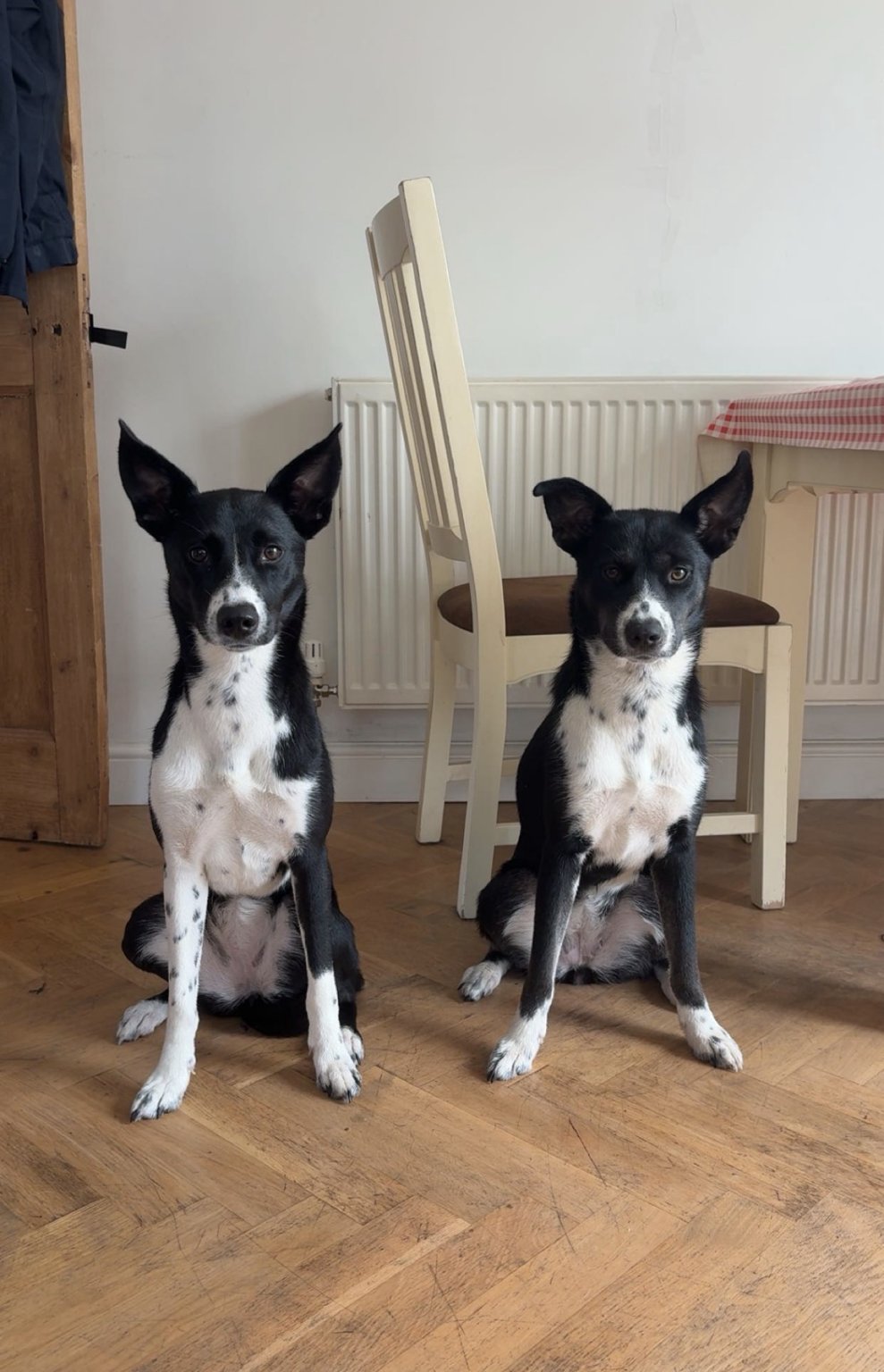 Dotty and Tilly