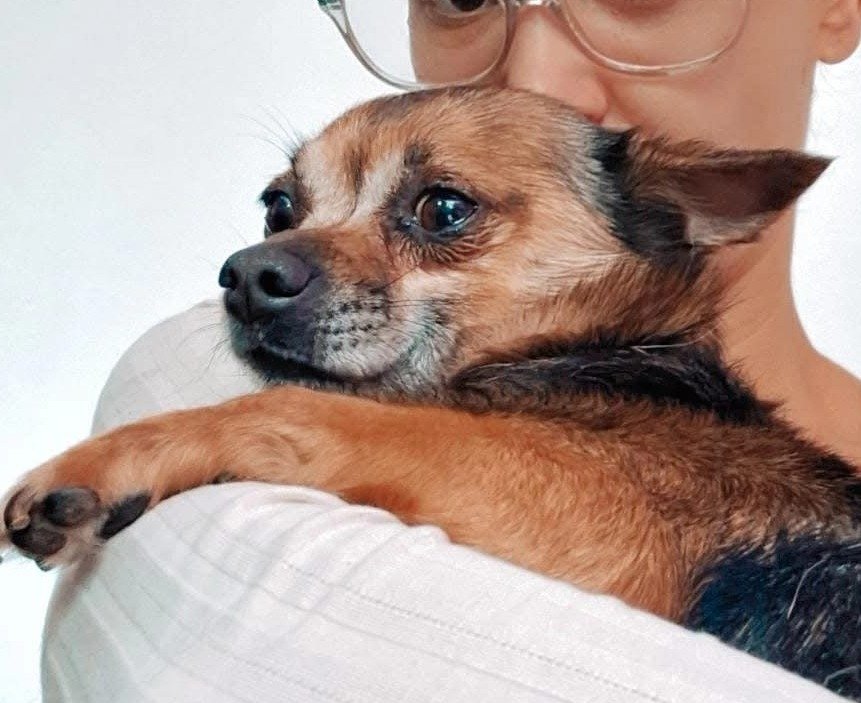 Elvis