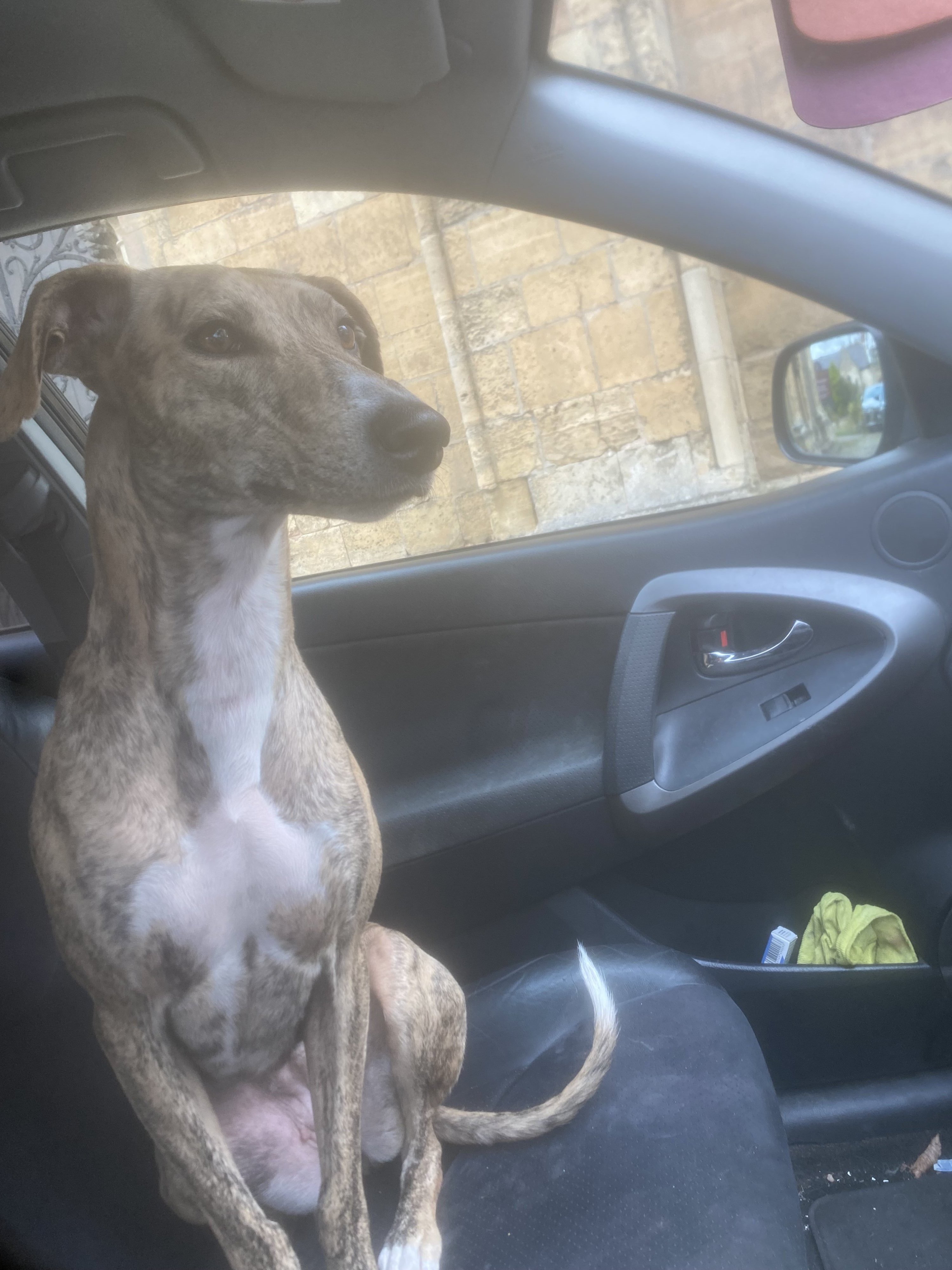 Pippa