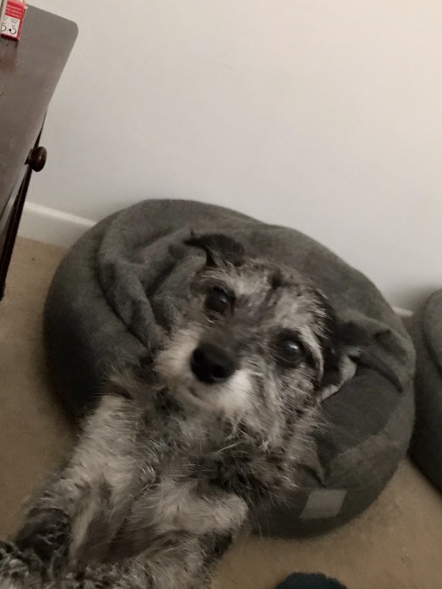 Marley