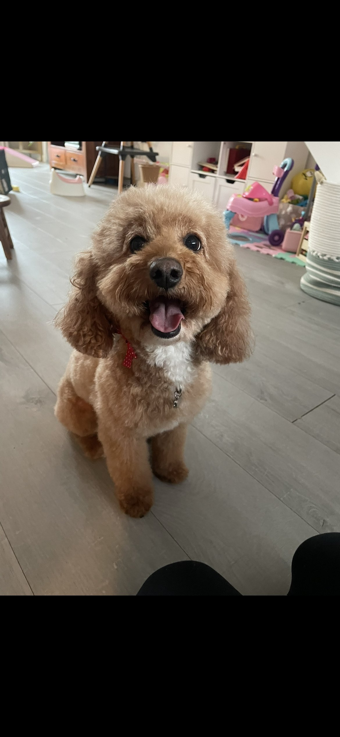 Millie