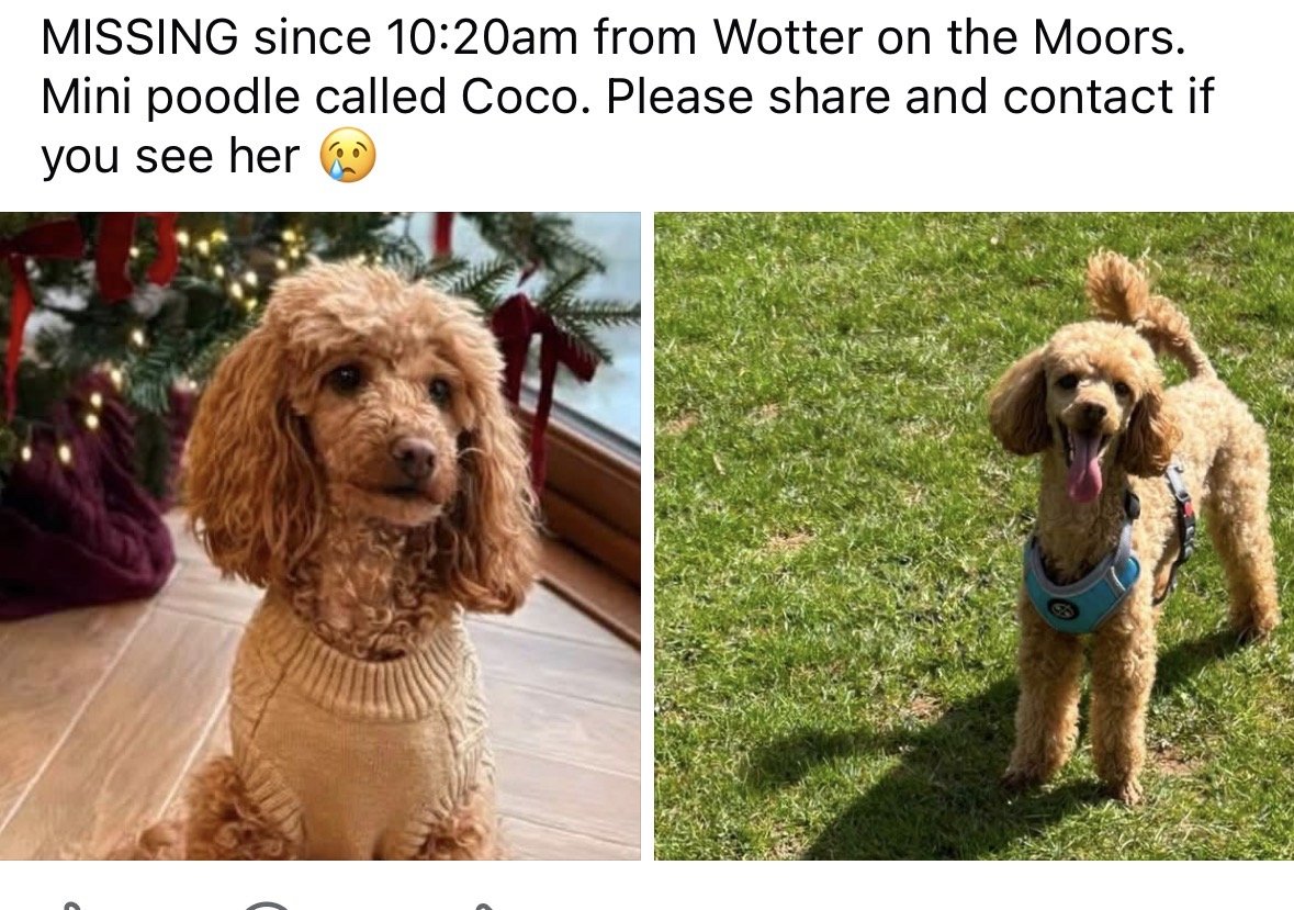 Coco