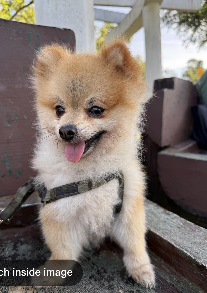 Ted