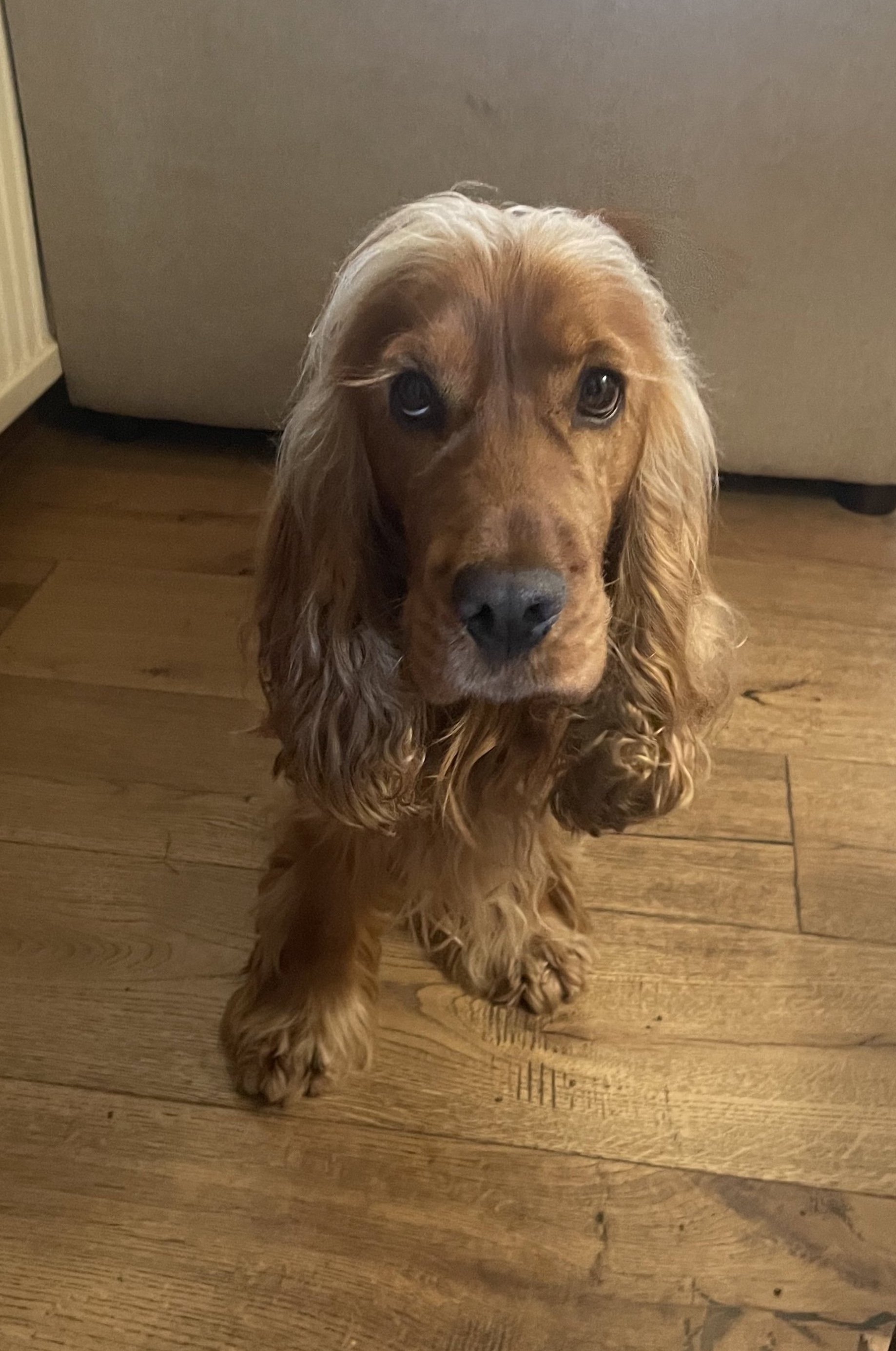 Murphy