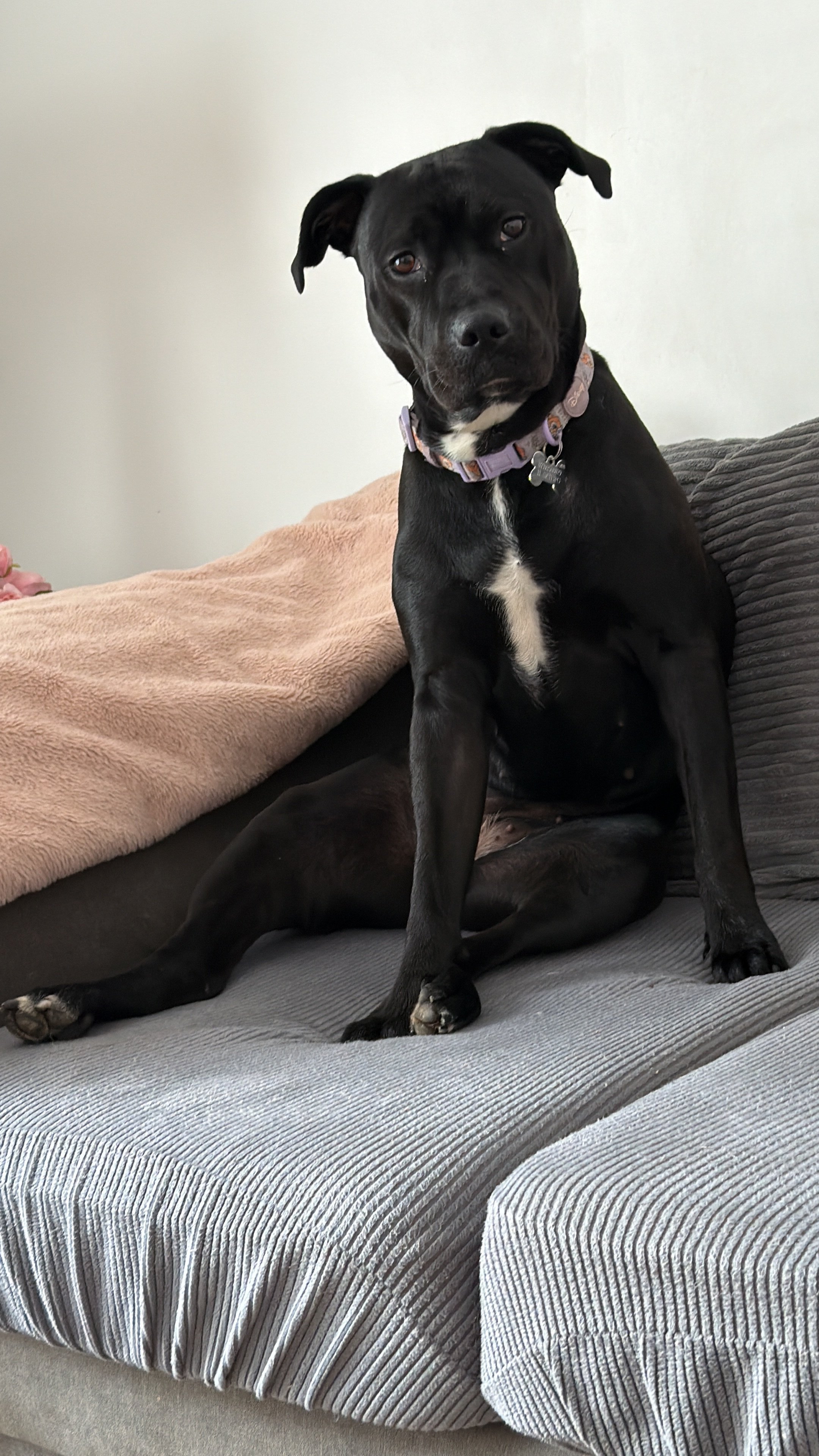 Missy