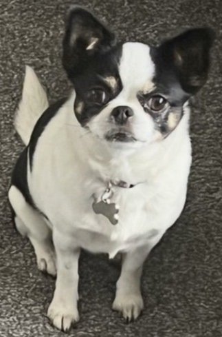 Kiki