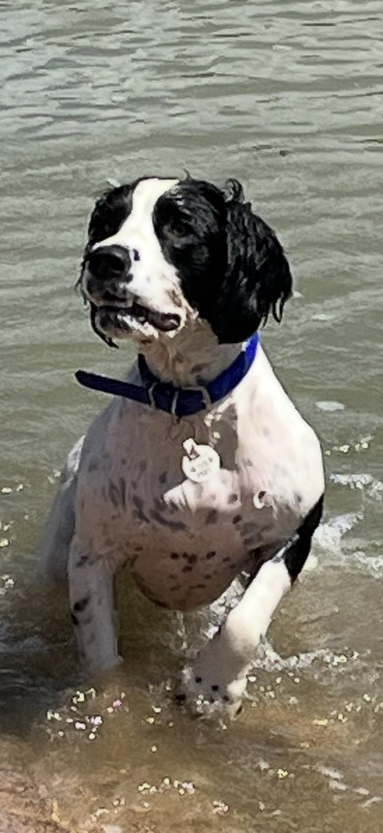 Max